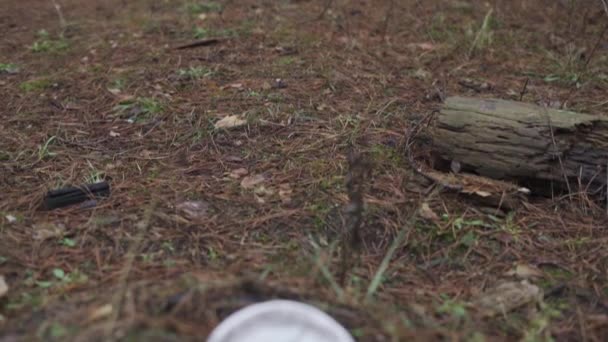 플라스틱 가처분 접시는 소나무 숲에 있다. 일회용 식기류가 있는 자연 오염 — 비디오