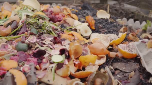 Komposthaufen aus Lebensmittelabfällen. Dünger für Biotonne — Stockvideo