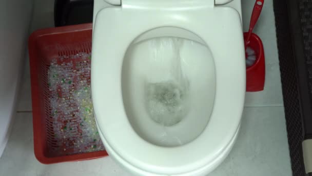 Pembilasan air di toilet manusia dekat kotak kotoran kucing. — Stok Video