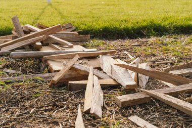 İnce doğranmış meşe yakacak odun, sokakta bir baltanın yanında, yeşil bir çimenliğin arka planında yatıyor.