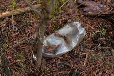 Ormandaki plastik şişenin çürüme işlemi uzun sürdü.