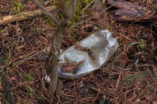 Ormandaki plastik şişenin çürüme işlemi uzun sürdü.