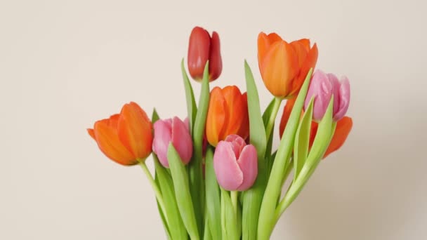 Nasycená kytice pestrobarevných tulipánů na béžovém pozadí