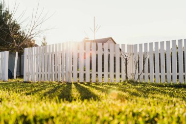 Sonbahar güneşi beyaz ahşap bir çitin içinden yeşil bir çimenlikte parlıyor.