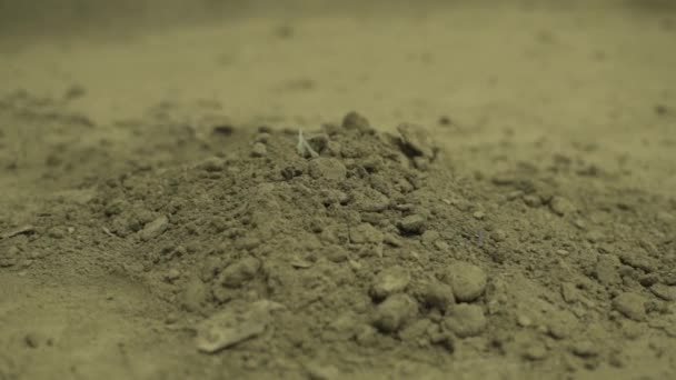 Bouwbeton stof en residuen liggen op de vloer — Stockvideo