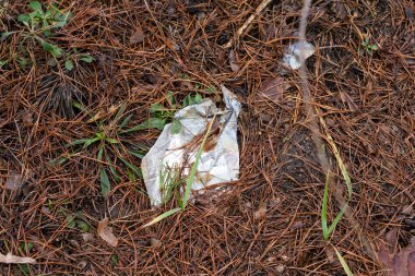 Plastik yiyecek ambalajı ormana atılmış.