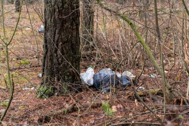 İnsanlar ormanda bir ağacın yanına çöp deposu kurmuşlar.