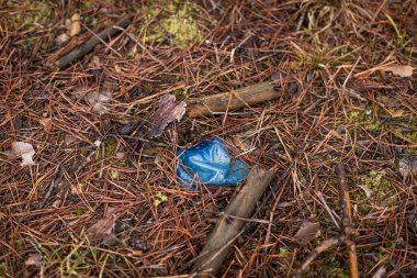 Düz bir plastik şişe ormanda çürümeden duruyor.