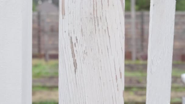 Camera movement parallel to white wooden fence close up — Stock Video