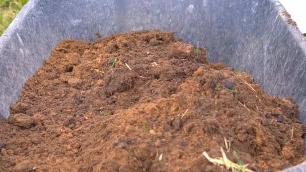 Gros plan sur le remplissage d'une brouette de terre brune avec une pelle — Video