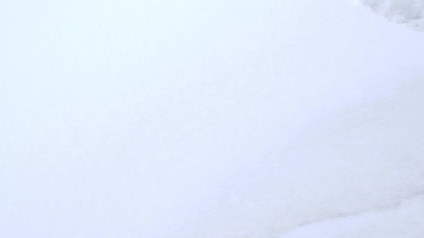 Menghapus salju dari jalan dengan sekop, ruang penyalinan — Stok Video