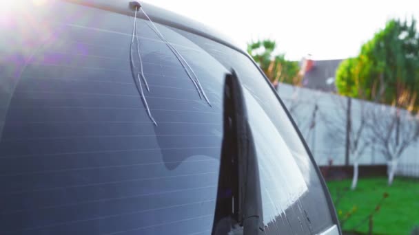 Bilens bakre fönsterputsmunstycken i slow motion — Stockvideo