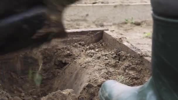 Вспахивание нетронутой земли в саду лопатой — стоковое видео