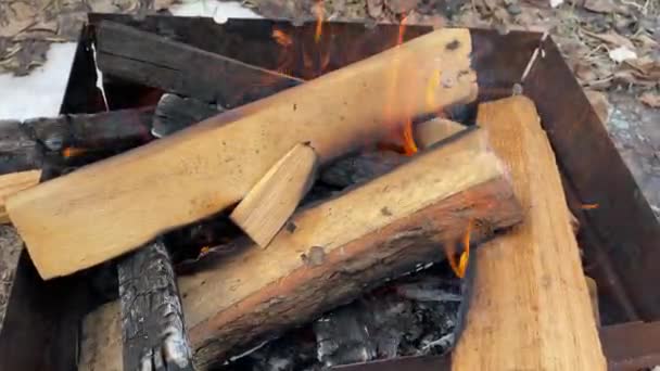 Oak kayu api terbakar di panggangan di jalan — Stok Video