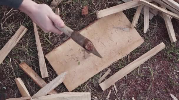 Ax splits firewood into thin chips, top view — Stock Video