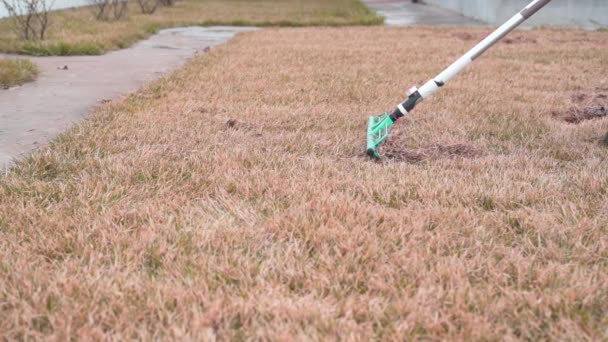 Przeczesywanie suchej, żółtej trawy zgrabiarką z martwego trawnika — Wideo stockowe