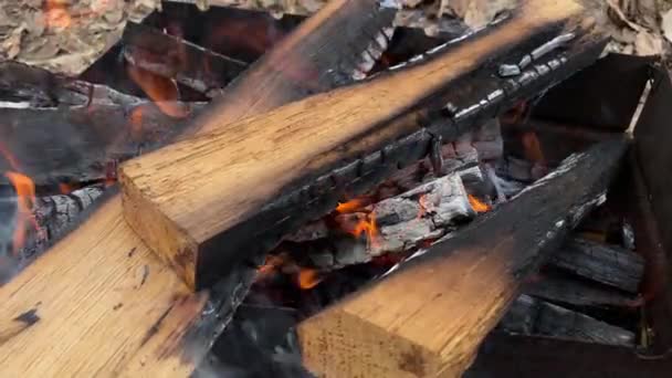 Fuego de leña de roble se quema en la parrilla en la calle — Vídeo de stock