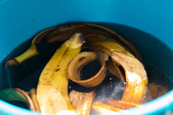 Bananenschil Gedrenkt Water Een Emmer Voor Bemesting Van Planten — Stockfoto