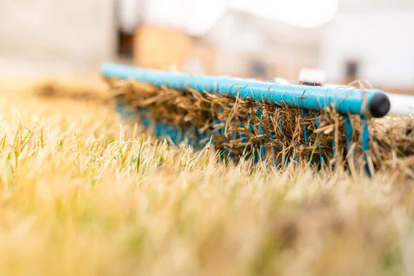 Cleaning Lawn Dry Grass Winter Rake — Stock Photo, Image