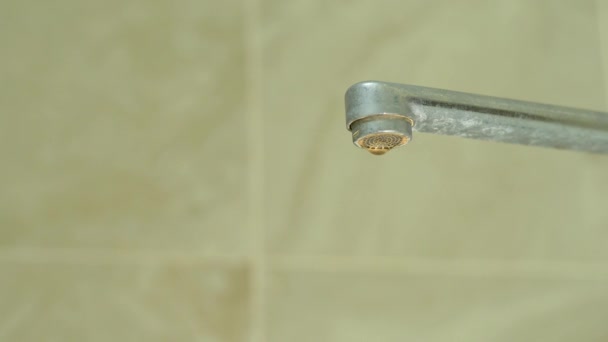Banyodaki uzun musluktan damlayan su damlacıkları. — Stok video