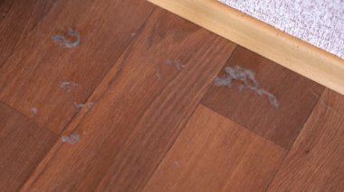 Yakın plan elektrikli süpürgeyle toz emme.