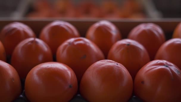 Fly over a box in fresh ripe persimmons of vibrant orange color — Stock Video