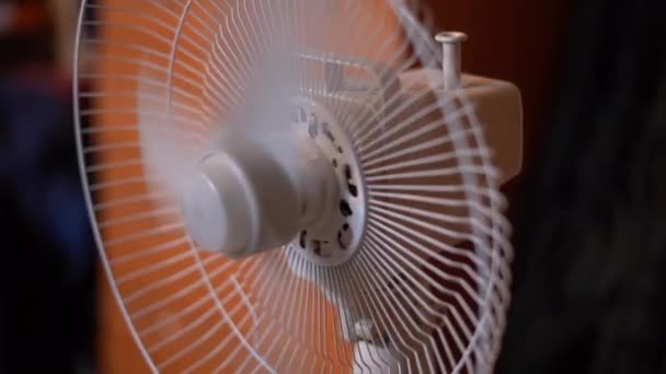 O ventilador funciona no verão em câmera lenta close-up — Vídeo de Stock