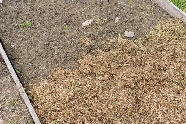 Een Bed Voor Mulch Dekking Hergebruik Van Droog Gras Land — Stockfoto
