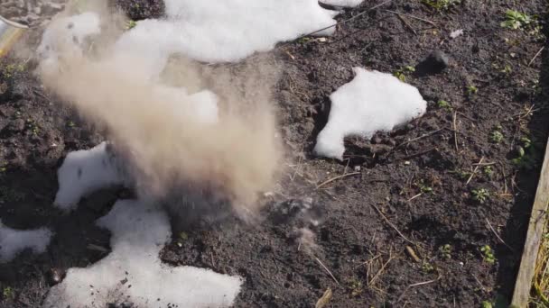 Versare cenere dai camini su un letto di neve in primavera — Video Stock