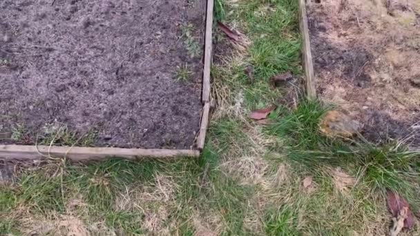 Les lits de jardin sont vides et propres au printemps après l'hiver — Video