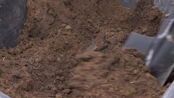 Digging earth with a shovel from a wheelbarrow — Stock Video