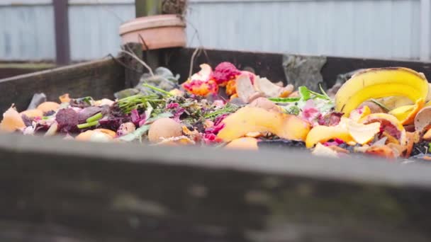 Χωριστή διαλογή οργανικών απορριμμάτων τροφίμων για ανακύκλωση στην κηπουρική και τη γεωργία — Αρχείο Βίντεο