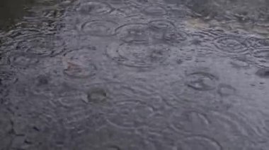 Yağmur damlaları yakın plandaki gölete düşer. Bahar yağmurları