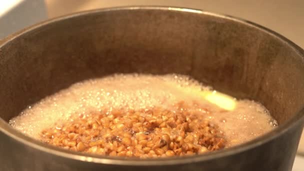 콩밀은 주철 냄비에서 끓고 있습니다 — 비디오
