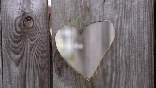 Hjärtat ristat i ett gammalt grått trästaket på nära håll — Stockvideo