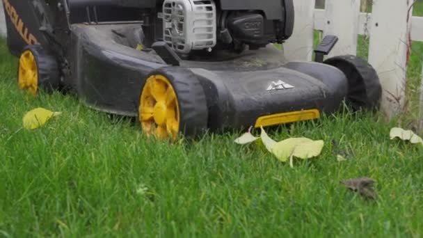 Kiev, Ukraine - November 14, 2020: Mcculloch lawn mower cuts a bright green lawn close-up in slow motion — Stock Video