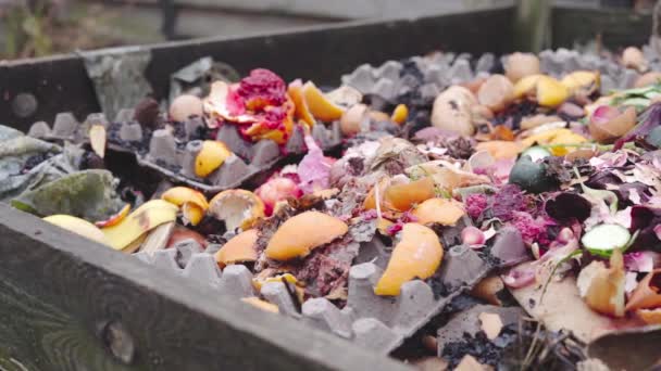 Un primer plano de la bandeja de la cámara sobre el montón de compost desperdicio de alimentos. Proceso de creación de fertilizantes orgánicos — Vídeo de stock