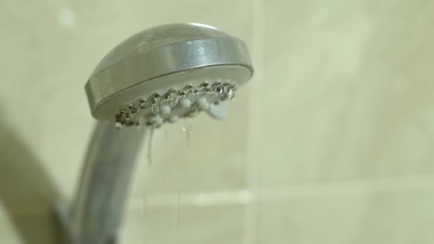 Mezclador de ducha con fugas. Gotas de agua goteando del grifo del baño — Vídeos de Stock