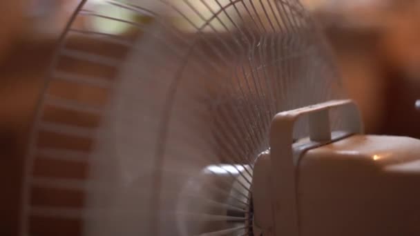 Malý vnitřní ventilátor se otáčí zblízka, spodní pohled — Stock video