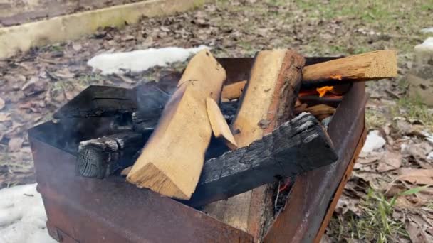 Legna da ardere di quercia alla griglia primo piano — Video Stock