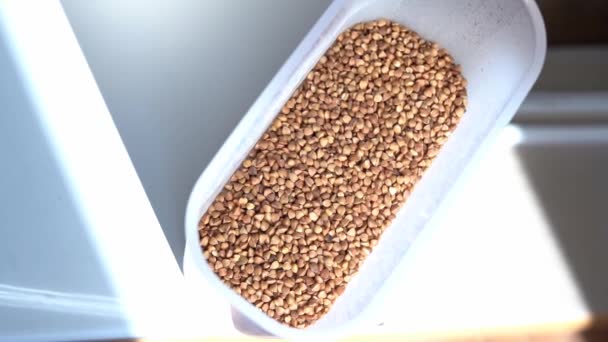 Buckwheat is in a special plastic storage container — Stock Video