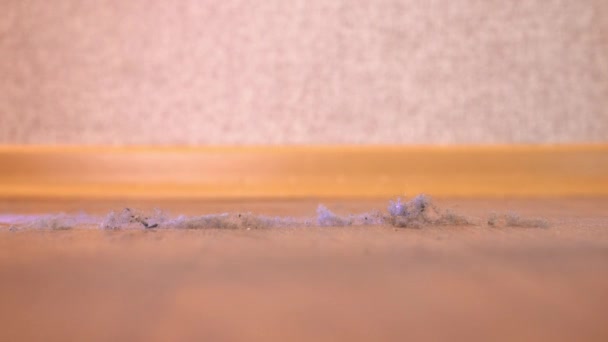 Αναρρόφηση σκόνης με κοντινό πλάνο ηλεκτρικής σκούπας — Αρχείο Βίντεο