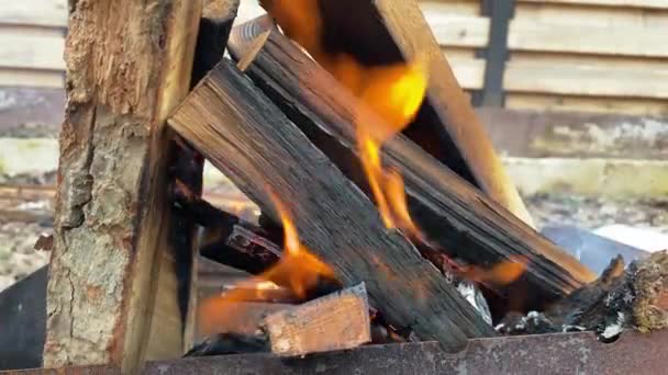 Bois de chauffage de chêne brûlant dans le gril close-up — Video