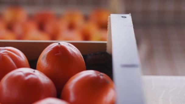 Survolez une boîte en kaki frais mûr de couleur orange vif — Video