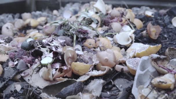 Компостная куча пищевых отходов для удобрения плодоовощной почвы — стоковое видео