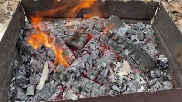 Carbón quemado en el primer plano de la parrilla — Vídeos de Stock