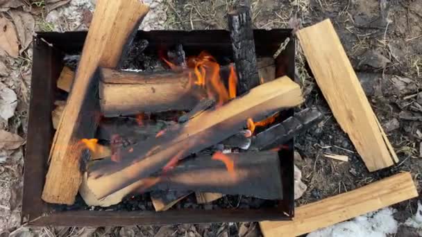 Leña de roble ardiendo en el primer plano de la parrilla — Vídeos de Stock