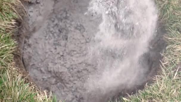 Fertilizzare la fossa con carbone e cenere prima di piantare un giovane albero. Preparare il terreno prima di piantare le piante — Video Stock