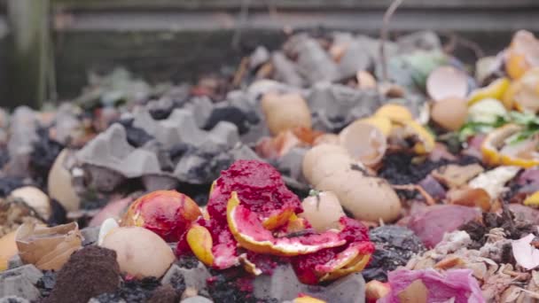 Pila de compost de desperdicio de alimentos para fertilizar el suelo vegetal — Vídeo de stock