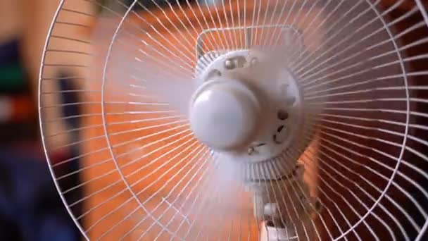 Le ventilateur de sol travaille dans la chambre par temps chaud — Video